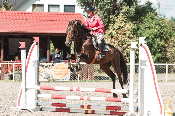 SFT i przyjaciele Jumping Show - KJ Skarb Kozienice ZRiT 22-23.08.2026