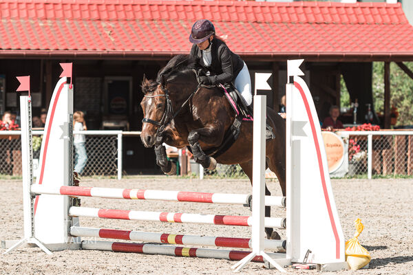 SFT i przyjaciele Jumping Show - KJ Skarb Kozienice ZRiT 22-23.08.2026