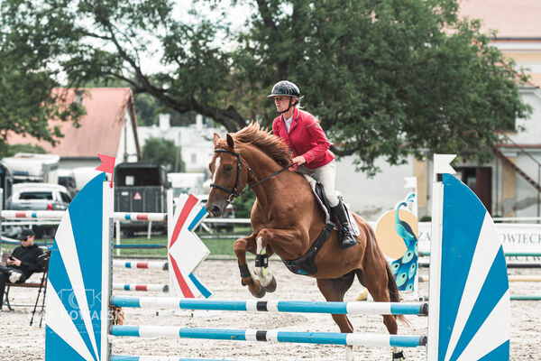 SFT i przyjaciele Jumping Show - KJ Skarb Kozienice ZRiT 22-23.08.2026