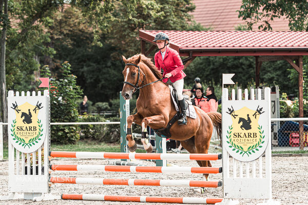 SFT i przyjaciele Jumping Show - KJ Skarb Kozienice ZRiT 22-23.08.2026