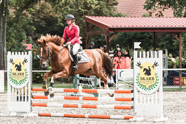 SFT i przyjaciele Jumping Show - KJ Skarb Kozienice ZRiT 22-23.08.2026