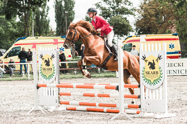 SFT i przyjaciele Jumping Show - KJ Skarb Kozienice ZRiT 22-23.08.2026