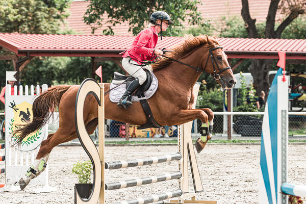 SFT i przyjaciele Jumping Show - KJ Skarb Kozienice ZRiT 22-23.08.2026