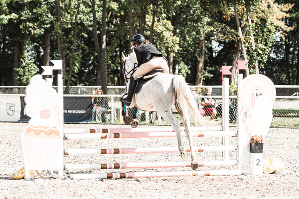 SFT i przyjaciele Jumping Show - KJ Skarb Kozienice ZRiT 22-23.08.2026
