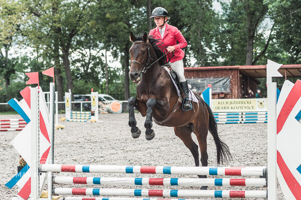 SFT i przyjaciele Jumping Show - KJ Skarb Kozienice ZRiT 22-23.08.2026
