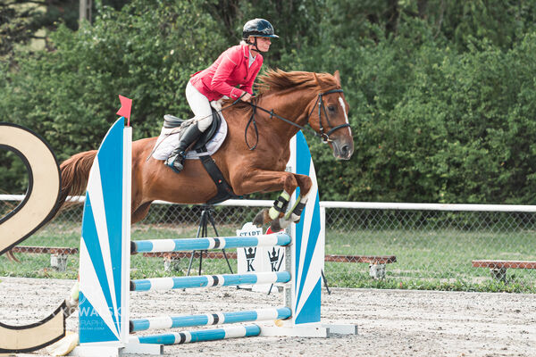 SFT i przyjaciele Jumping Show - KJ Skarb Kozienice ZRiT 22-23.08.2026