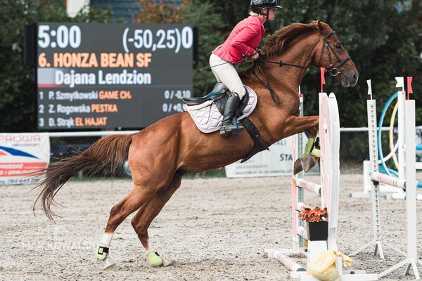 SFT i przyjaciele Jumping Show - KJ Skarb Kozienice ZRiT 22-23.08.2026