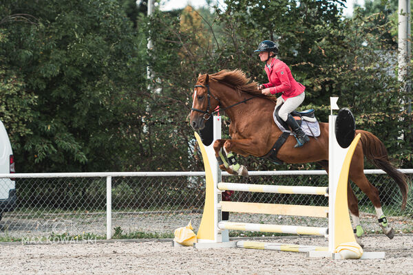 SFT i przyjaciele Jumping Show - KJ Skarb Kozienice ZRiT 22-23.08.2026