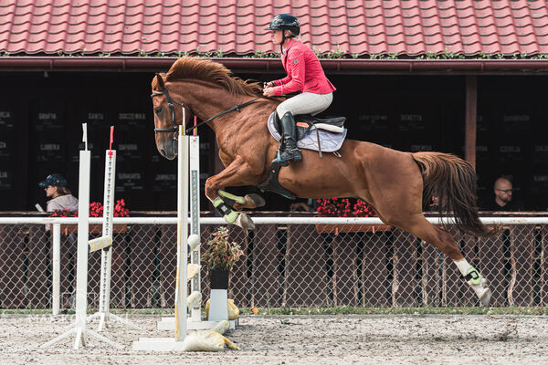 SFT i przyjaciele Jumping Show - KJ Skarb Kozienice ZRiT 22-23.08.2026