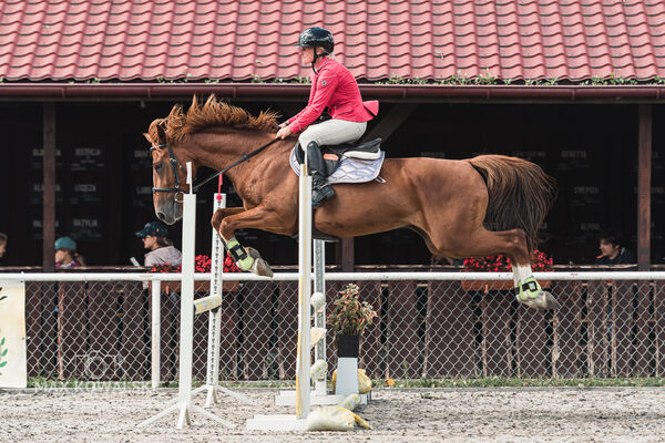 SFT i przyjaciele Jumping Show - KJ Skarb Kozienice ZRiT 22-23.08.2026