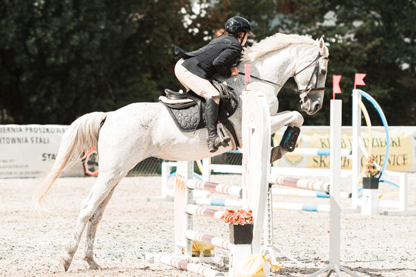 SFT i przyjaciele Jumping Show - KJ Skarb Kozienice ZRiT 22-23.08.2026
