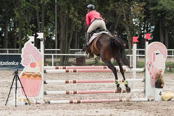 SFT i przyjaciele Jumping Show - KJ Skarb Kozienice ZRiT 22-23.08.2026