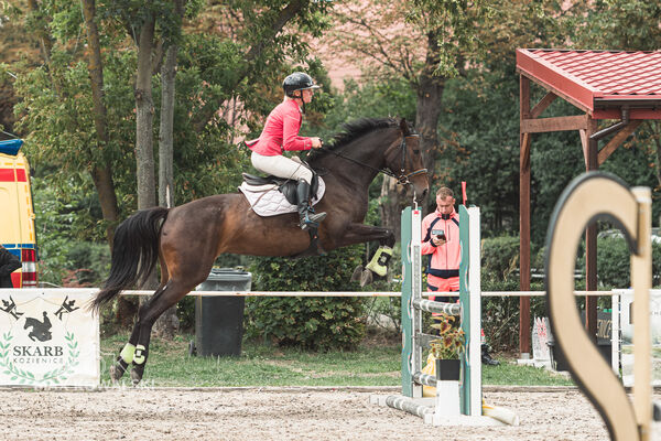 SFT i przyjaciele Jumping Show - KJ Skarb Kozienice ZRiT 22-23.08.2026