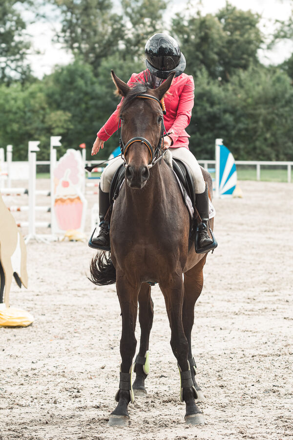 SFT i przyjaciele Jumping Show - KJ Skarb Kozienice ZRiT 22-23.08.2026