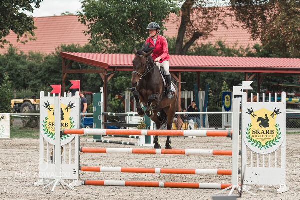 SFT i przyjaciele Jumping Show - KJ Skarb Kozienice ZRiT 22-23.08.2026