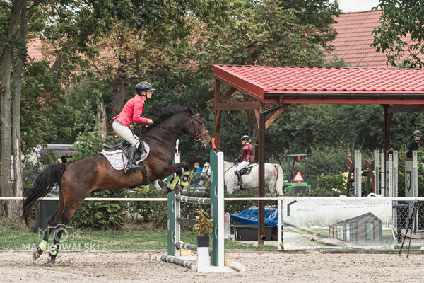 SFT i przyjaciele Jumping Show - KJ Skarb Kozienice ZRiT 22-23.08.2026
