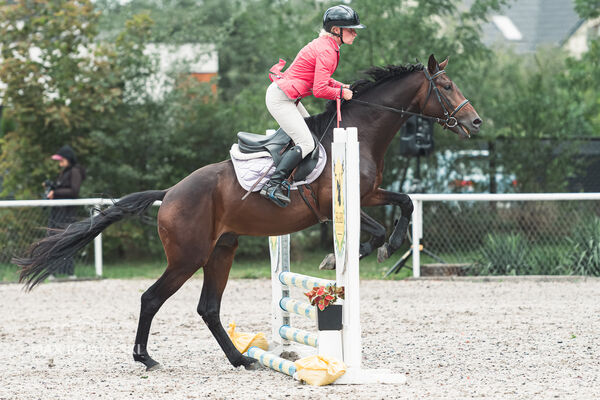 SFT i przyjaciele Jumping Show - KJ Skarb Kozienice ZRiT 22-23.08.2026