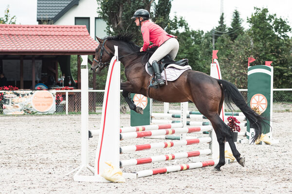 SFT i przyjaciele Jumping Show - KJ Skarb Kozienice ZRiT 22-23.08.2026