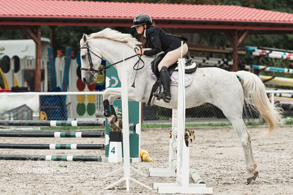 SFT i przyjaciele Jumping Show - KJ Skarb Kozienice ZRiT 22-23.08.2026