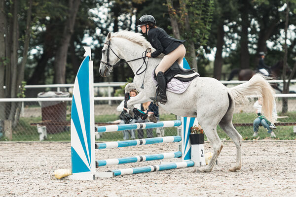 SFT i przyjaciele Jumping Show - KJ Skarb Kozienice ZRiT 22-23.08.2026