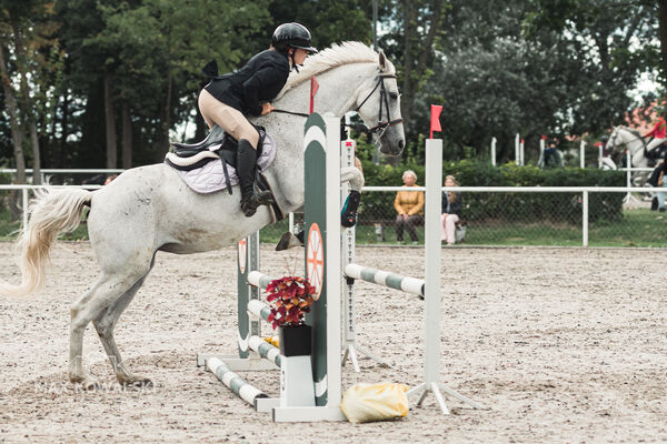 SFT i przyjaciele Jumping Show - KJ Skarb Kozienice ZRiT 22-23.08.2026