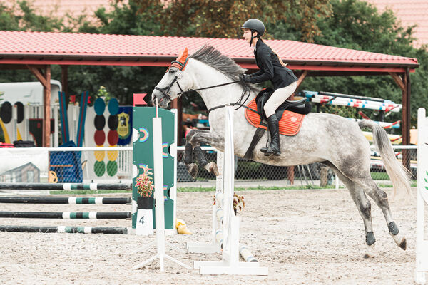 SFT i przyjaciele Jumping Show - KJ Skarb Kozienice ZRiT 22-23.08.2026