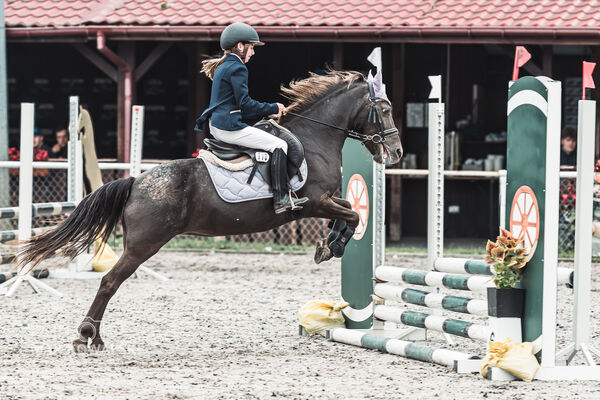 SFT i przyjaciele Jumping Show - KJ Skarb Kozienice ZRiT 22-23.08.2026
