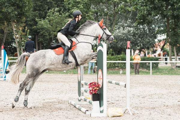 SFT i przyjaciele Jumping Show - KJ Skarb Kozienice ZRiT 22-23.08.2026