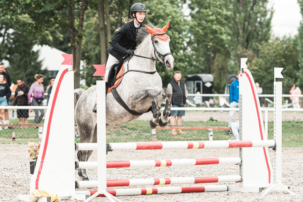 SFT i przyjaciele Jumping Show - KJ Skarb Kozienice ZRiT 22-23.08.2026