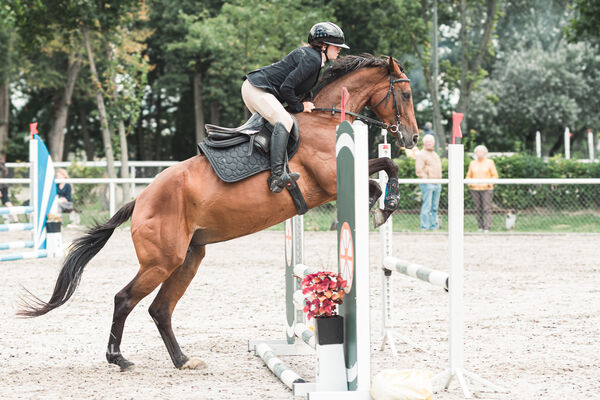 SFT i przyjaciele Jumping Show - KJ Skarb Kozienice ZRiT 22-23.08.2026