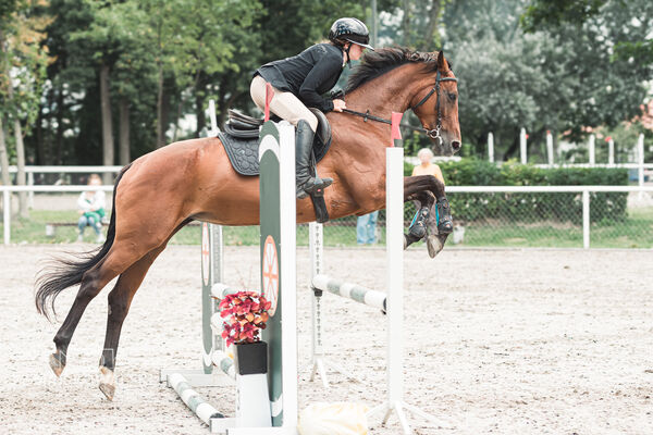 SFT i przyjaciele Jumping Show - KJ Skarb Kozienice ZRiT 22-23.08.2026