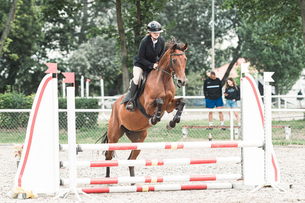 SFT i przyjaciele Jumping Show - KJ Skarb Kozienice ZRiT 22-23.08.2026