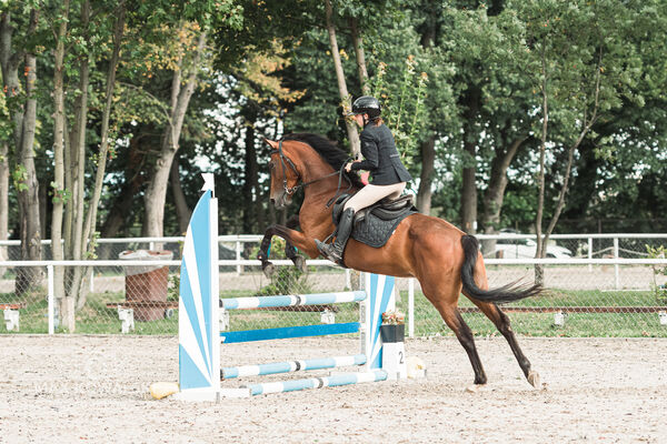 SFT i przyjaciele Jumping Show - KJ Skarb Kozienice ZRiT 22-23.08.2026