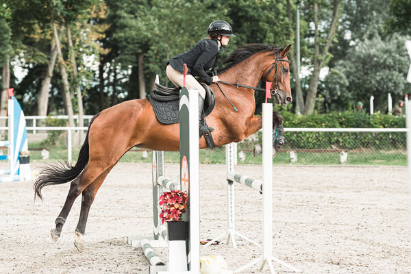 SFT i przyjaciele Jumping Show - KJ Skarb Kozienice ZRiT 22-23.08.2026