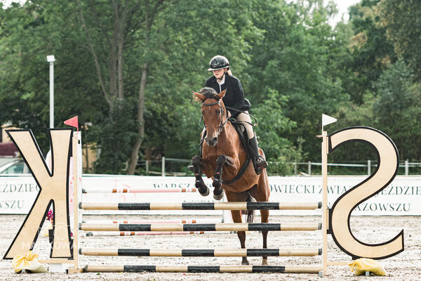 SFT i przyjaciele Jumping Show - KJ Skarb Kozienice ZRiT 22-23.08.2026