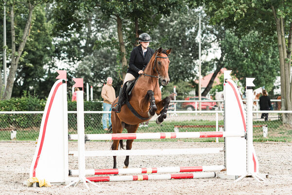 SFT i przyjaciele Jumping Show - KJ Skarb Kozienice ZRiT 22-23.08.2026