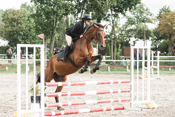 SFT i przyjaciele Jumping Show - KJ Skarb Kozienice ZRiT 22-23.08.2026