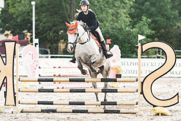 SFT i przyjaciele Jumping Show - KJ Skarb Kozienice ZRiT 22-23.08.2026