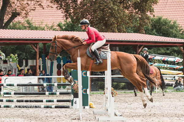 SFT i przyjaciele Jumping Show - KJ Skarb Kozienice ZRiT 22-23.08.2026