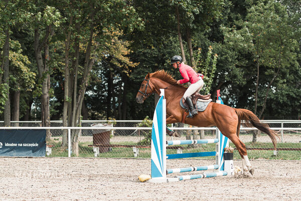 SFT i przyjaciele Jumping Show - KJ Skarb Kozienice ZRiT 22-23.08.2026
