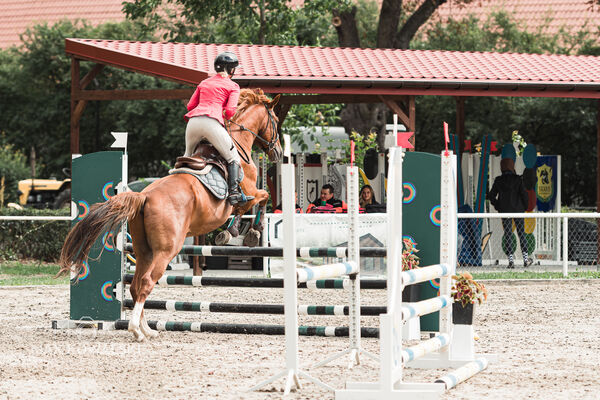 SFT i przyjaciele Jumping Show - KJ Skarb Kozienice ZRiT 22-23.08.2026