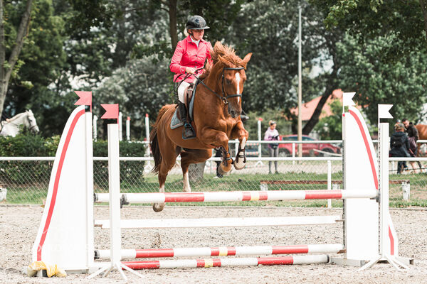SFT i przyjaciele Jumping Show - KJ Skarb Kozienice ZRiT 22-23.08.2026