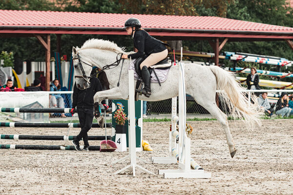 SFT i przyjaciele Jumping Show - KJ Skarb Kozienice ZRiT 22-23.08.2026