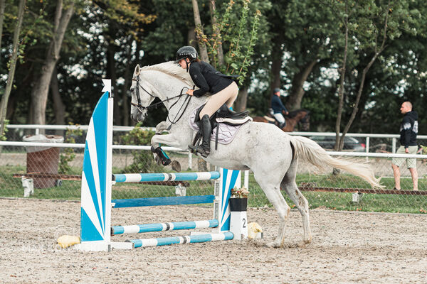 SFT i przyjaciele Jumping Show - KJ Skarb Kozienice ZRiT 22-23.08.2026