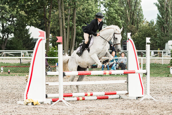 SFT i przyjaciele Jumping Show - KJ Skarb Kozienice ZRiT 22-23.08.2026