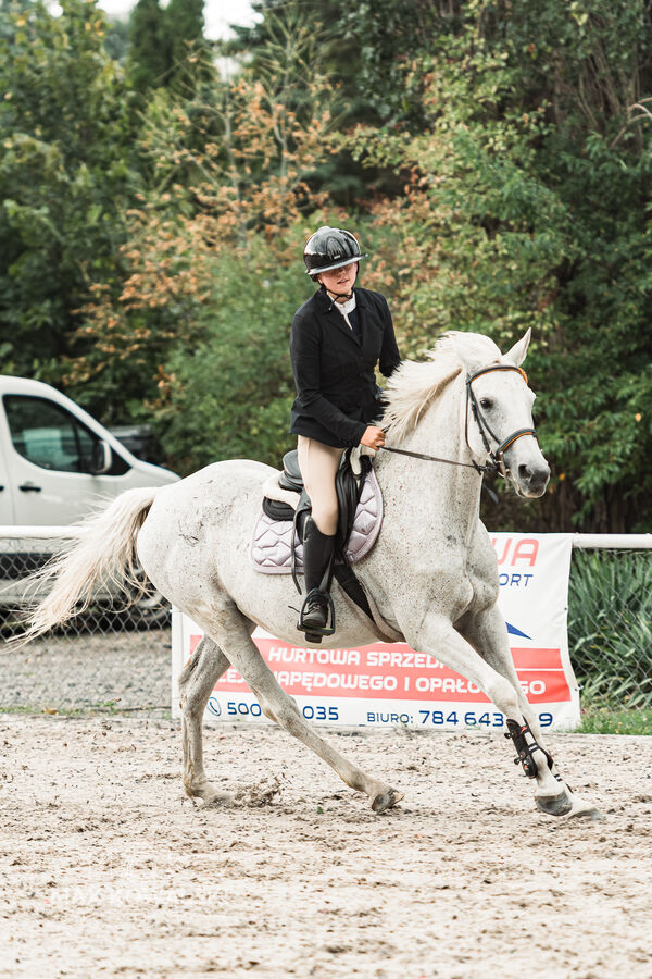 SFT i przyjaciele Jumping Show - KJ Skarb Kozienice ZRiT 22-23.08.2026