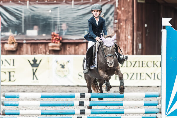 SFT i przyjaciele Jumping Show - KJ Skarb Kozienice ZRiT 22-23.08.2026