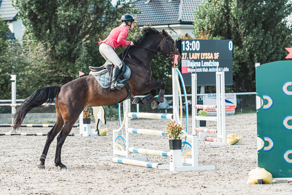 SFT i przyjaciele Jumping Show - KJ Skarb Kozienice ZRiT 22-23.08.2026