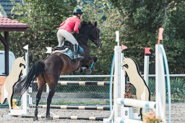 SFT i przyjaciele Jumping Show - KJ Skarb Kozienice ZRiT 22-23.08.2026