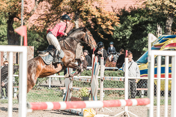 SFT i przyjaciele Jumping Show - KJ Skarb Kozienice ZRiT 22-23.08.2026